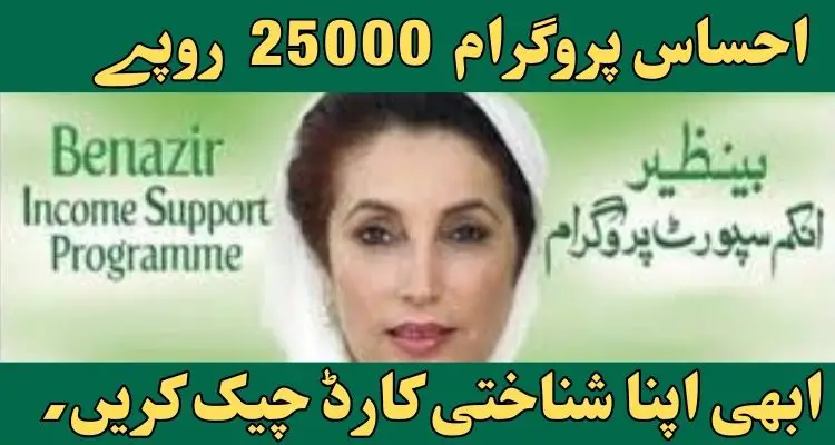 Ehsaas Program CNIC Check Online 25000