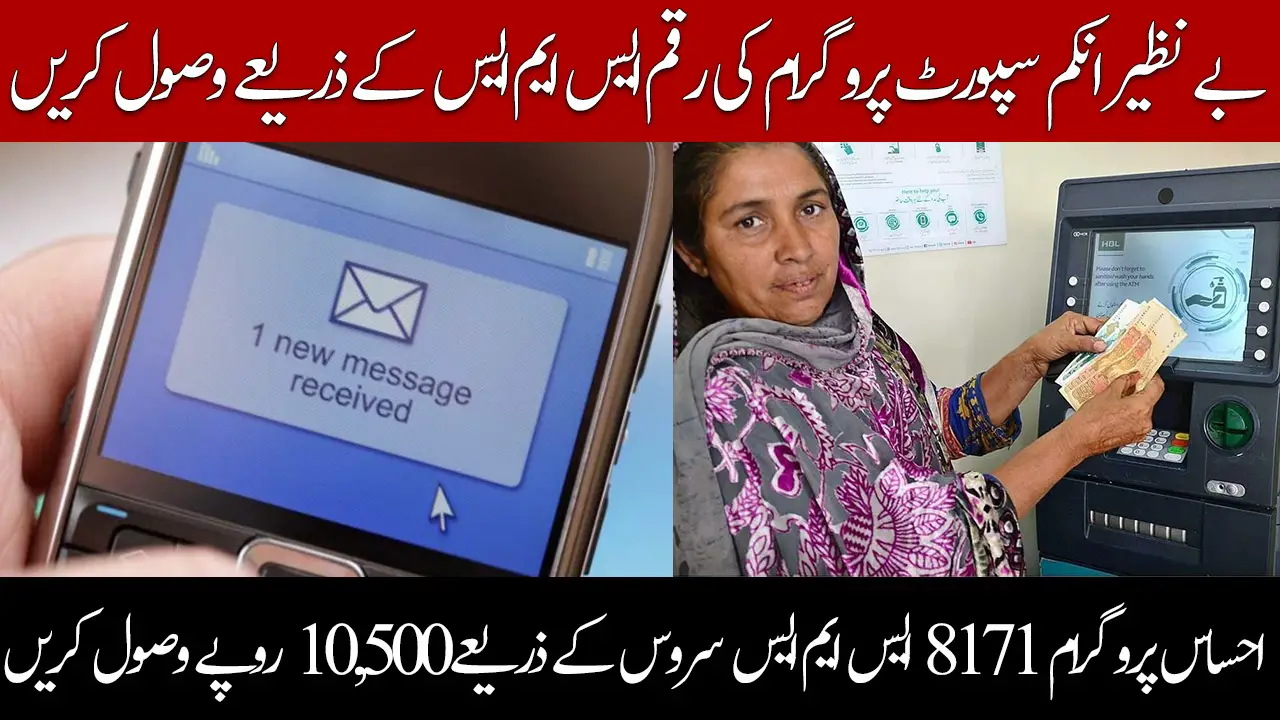 Ehsaas Program 8171 SMS Service