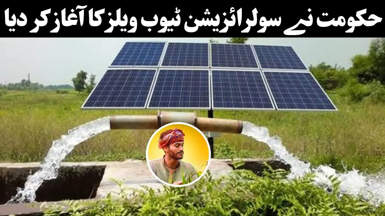 Punjab Government Launches Major Solarization