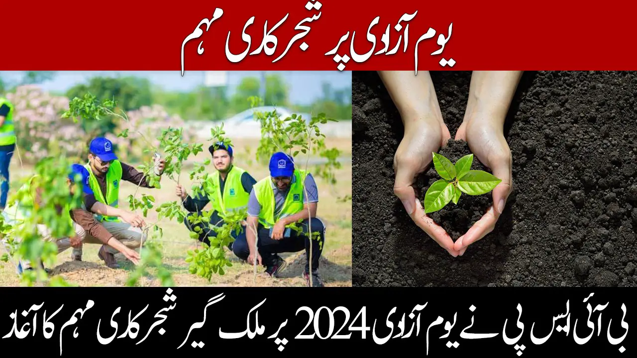 Plantation Campaign on Independence Day