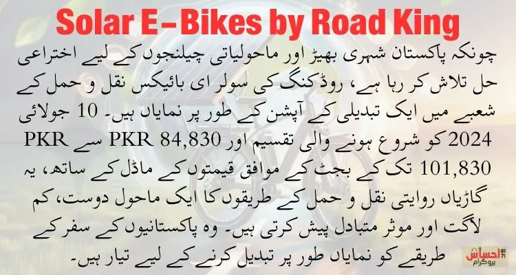 Solar E-Bikes by Road King 